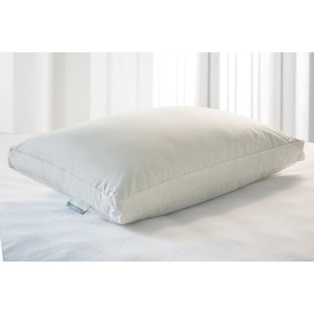 KATHY IRELAND Eco Unbleached Cotton Down & Feather Pillow, Single KI201021